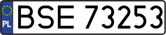 BSE73253