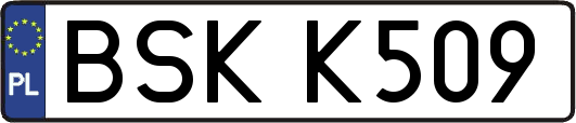 BSKK509