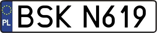 BSKN619
