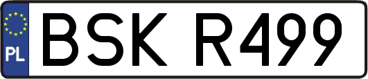 BSKR499