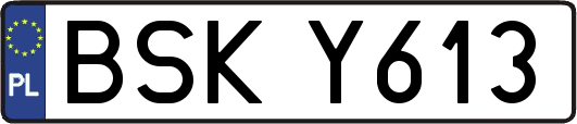 BSKY613