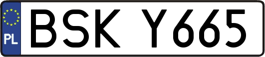 BSKY665