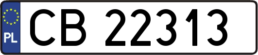 CB22313