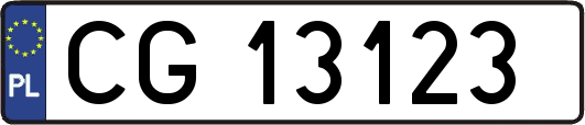 CG13123