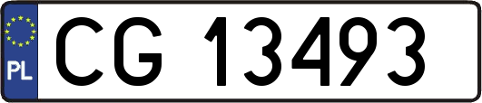 CG13493