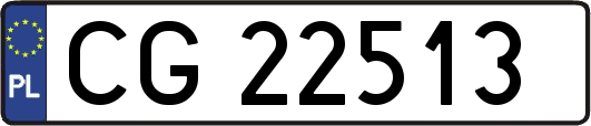 CG22513