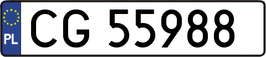 CG55988