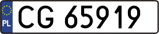 CG65919