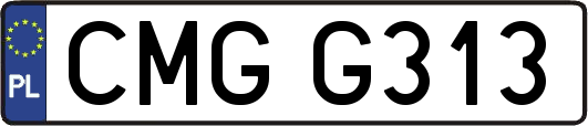 CMGG313