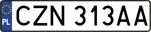CZN313AA