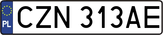 CZN313AE