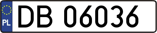 DB06036