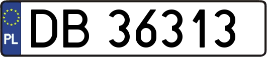 DB36313