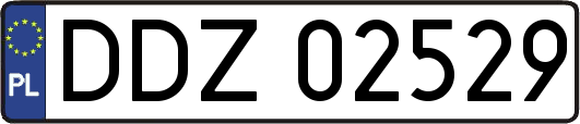 DDZ02529