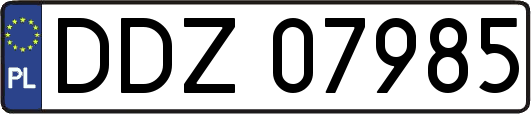 DDZ07985
