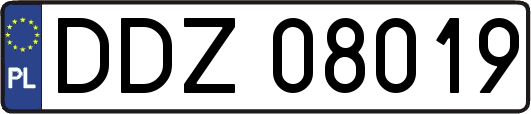DDZ08019
