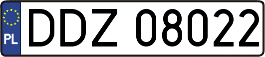 DDZ08022