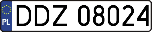 DDZ08024