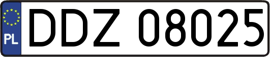 DDZ08025