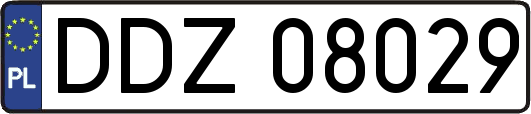 DDZ08029
