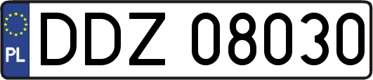 DDZ08030