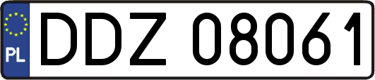 DDZ08061
