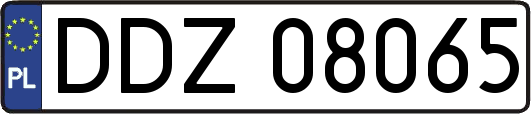 DDZ08065