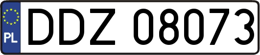 DDZ08073