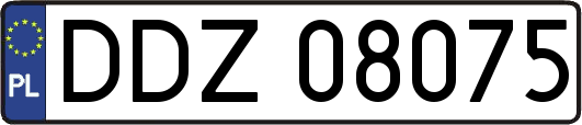 DDZ08075