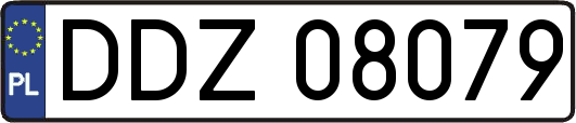 DDZ08079