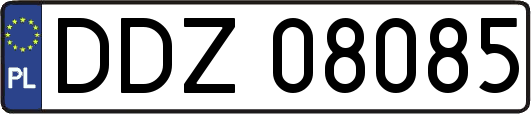 DDZ08085