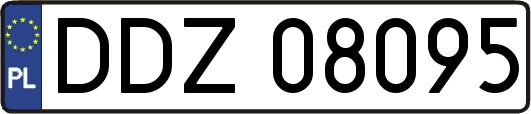 DDZ08095