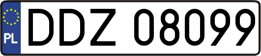 DDZ08099