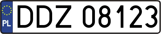 DDZ08123