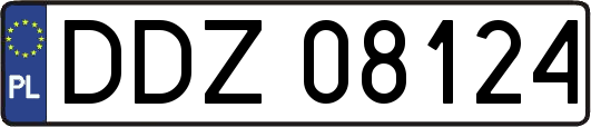 DDZ08124