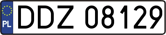 DDZ08129