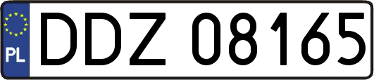 DDZ08165