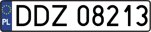 DDZ08213