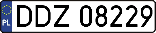 DDZ08229