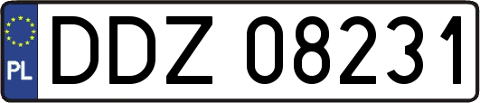 DDZ08231