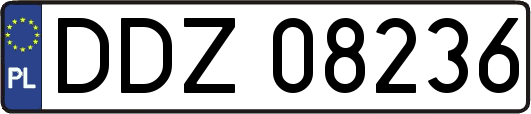 DDZ08236