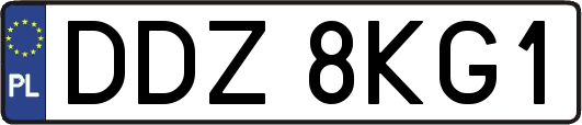 DDZ8KG1