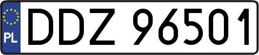 DDZ96501