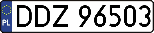 DDZ96503