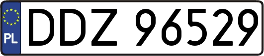 DDZ96529