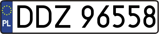 DDZ96558