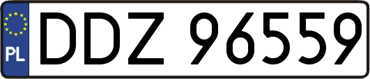 DDZ96559