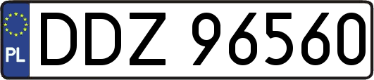 DDZ96560