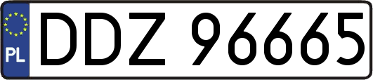 DDZ96665