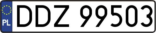 DDZ99503